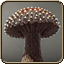 Jagged Mushroom